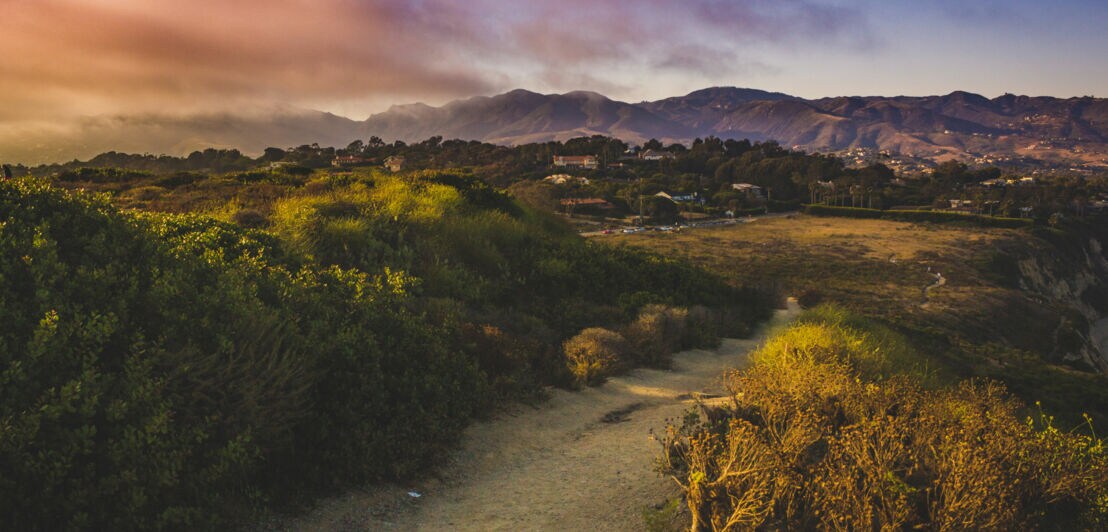 Wanderweg durch grüne Büsche mit Blick auf Hügel und Häuser unter einem farbigen Himmel bei Sonnenuntergang.
