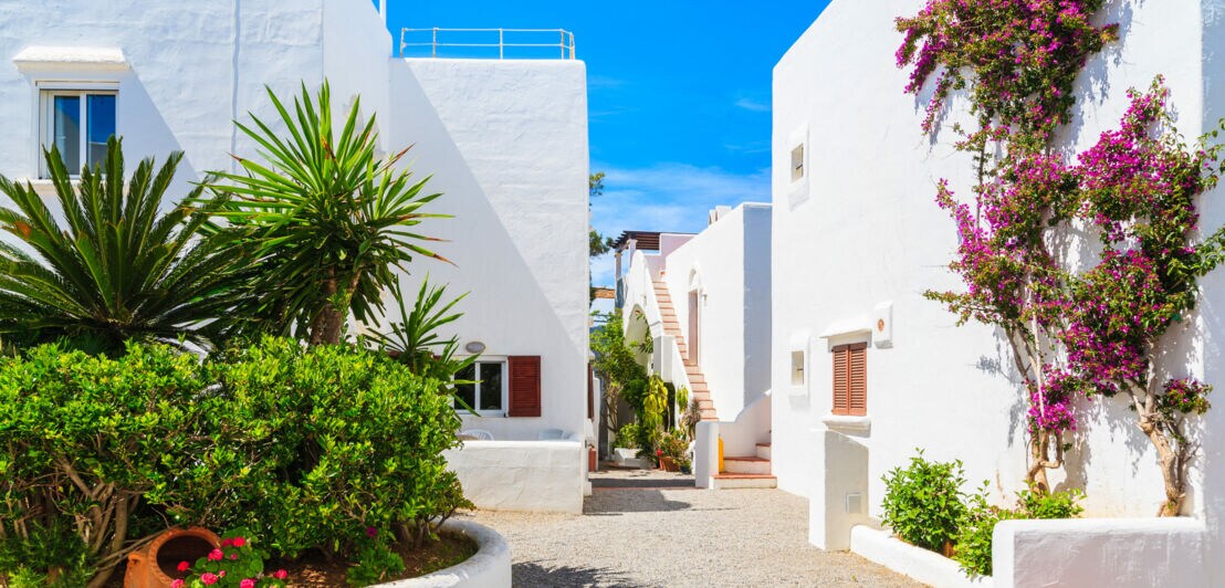Enger gepflasterter Weg zwischen weißen Häusern mit blühenden Pflanzen und blauer Himmel