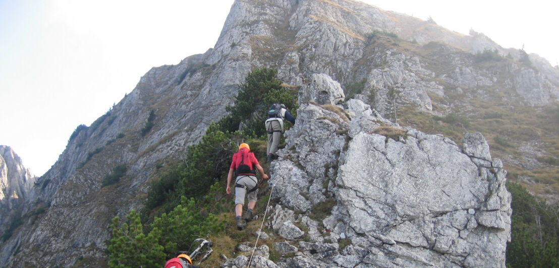 Drei Personen in Kletterausrüstung an einem Felsen an einem der Tegelberger Klettersteige.