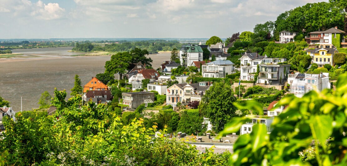 Blick auf ein grünes Wohngebiet mit Villen am Flussufer unter bewölktem Himmel.
