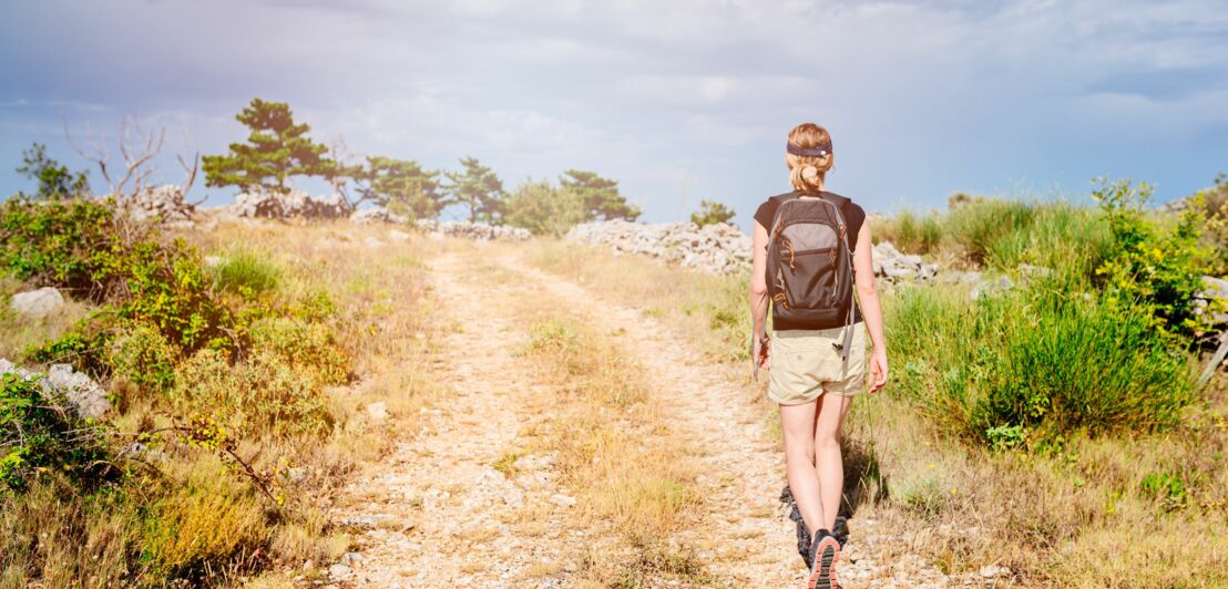Rückansicht einer Person mit Rucksack auf einem Wanderweg bei sonnigem Wetter.