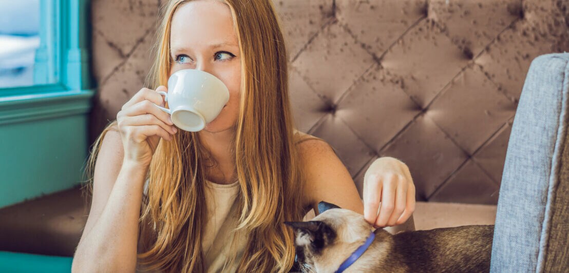 Frau sitzt auf niedrigen Sofa im Café und trinkt aus einer weißen Tasse, neben ihr liegt eine Siamkatze mit blauem Halsband