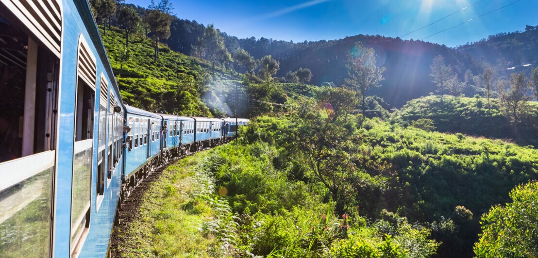 Blauer Zug, der durch eine grüne Landschaft bei Sonnenschein und blauem Himmel fährt.