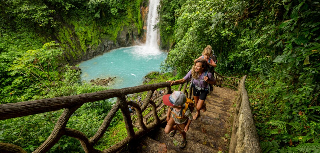 Drei Personen steigen eine Treppe aus Holz und Wurzeln hinauf, im Hintergrund ein Wasserfall und türkisfarbenes Wasser in einem dichten, grünen Dschungel.