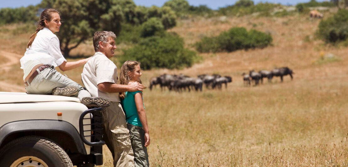 Ein Mann, eine Frau und ein Kind in der Savanne an einem Jeep in der Nähe einer Herde Gnus.