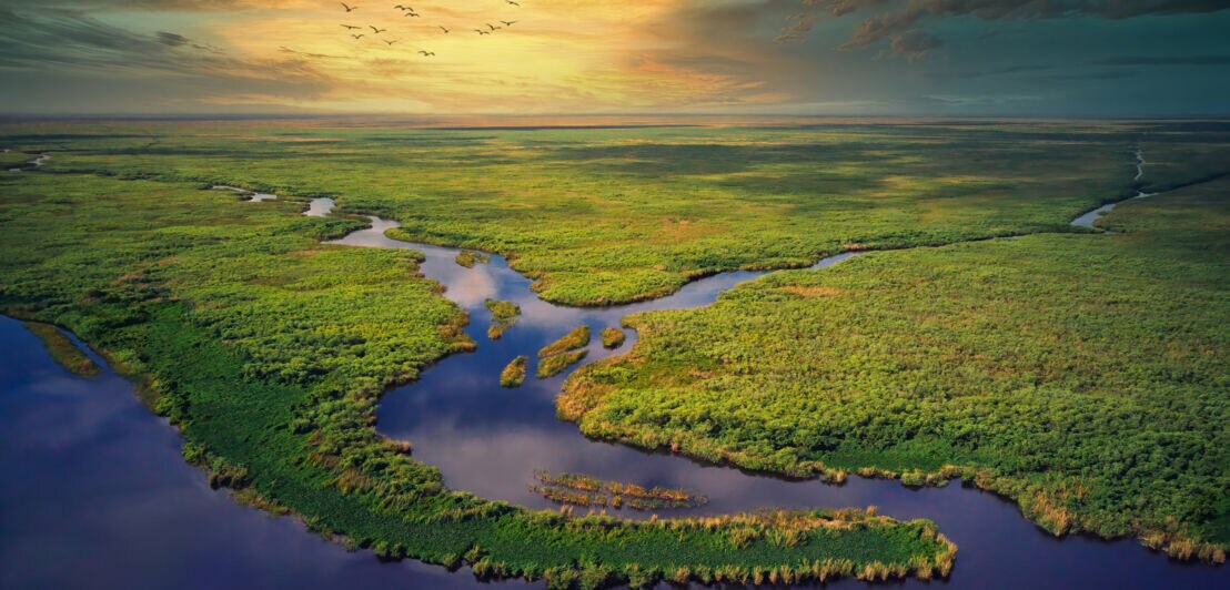 Luftbild der Everglades zur goldenen Stunde.