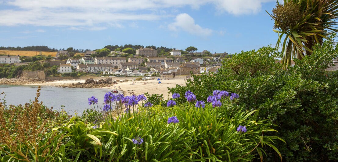 Blick auf einen Sandstrand mit Menschen und einem Dorf im Hintergrund, davor blühende lila Blumen und grüne Büsche