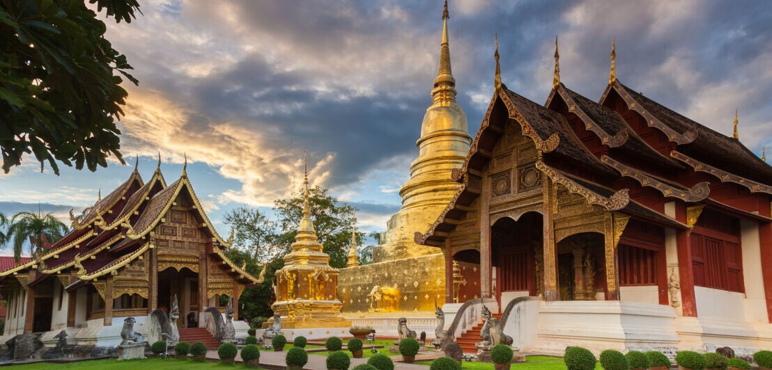 Goldene Pagode und traditionelle thailändische Tempelgebäude mit verzierten Dächern bei Sonnenuntergang in Chiang Mai, Thailand