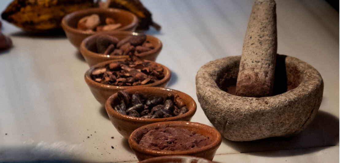 Verschiedene Stadien der Kakaobohnenverarbeitung in kleinen Schalen neben einem Mörser und Stößel aus Stein