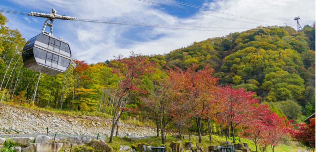 Seilbahn fährt über herbstlich gefärbte Bäume in einem bergigen Landschaftspark mit Sitzbänken und Tischen