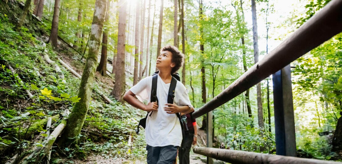 Ein Junge mit Rucksack läuft staunend und nach oben blickend durch einen Wald.