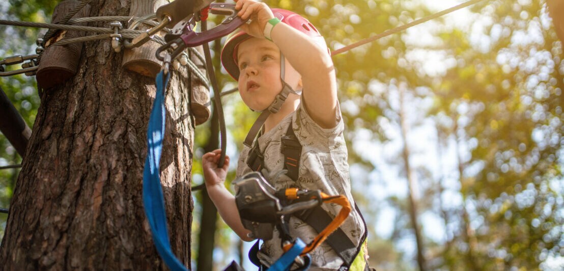 Kind mit Helm und Kletterausrüstung befestigt Sicherheitsgurt an Seil im Wald beim Klettern