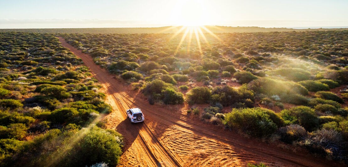 Geländewagen fährt auf rotem Sandweg durch buschige Landschaft bei Sonnenuntergang