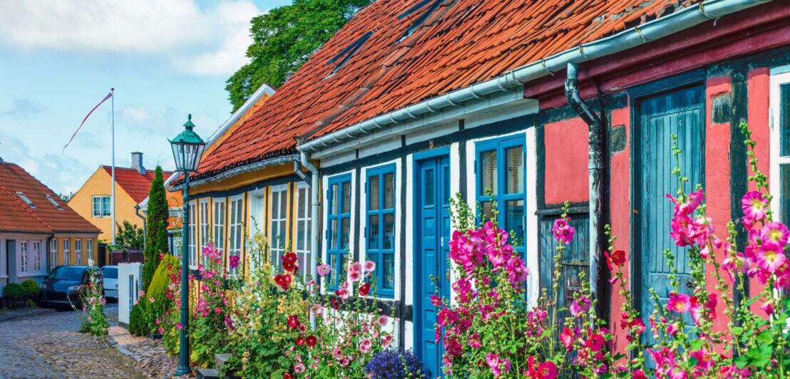 Reihe bunter, historischer Häuser mit blauen Türen und blühenden Stockrosen an einer Kopfsteinpflasterstraße