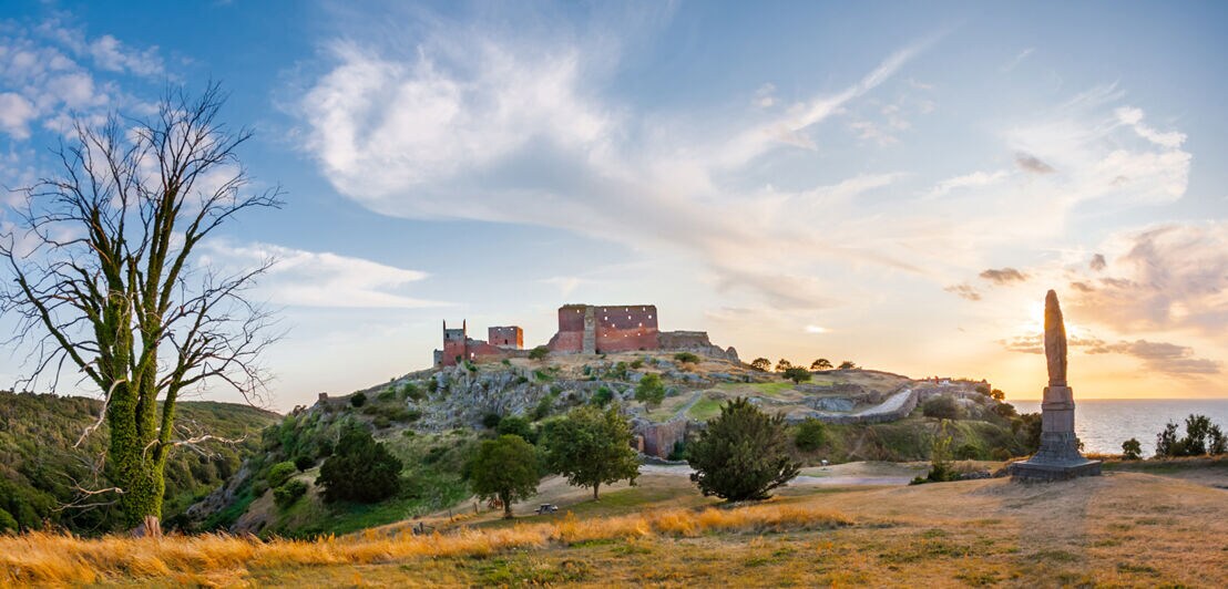 Ruine der Hammershus-Burg auf Bornholm bei Sonnenuntergang mit Baum und Obelisk im Vordergrund