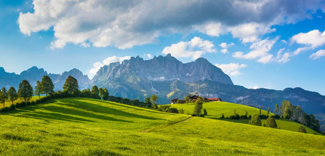 Blick auf ein markantes Gebirge, im Vordergrund eine grüne Wiese mit Bäumen.