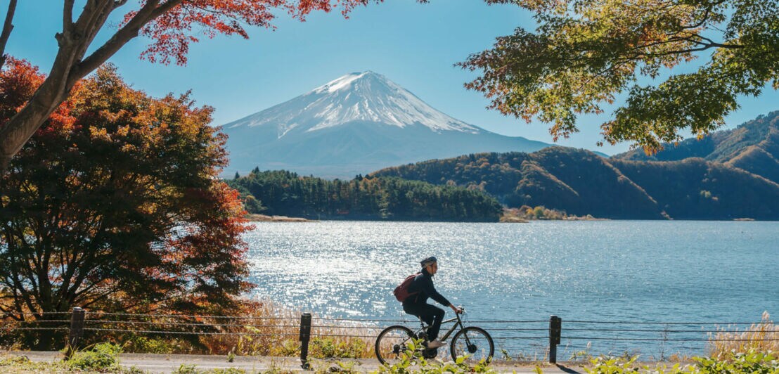 Radfahrer unter herbstlichen Bäumen am Kawaguchi-See, vor der malerischen Kulisse des Mount Fuji.