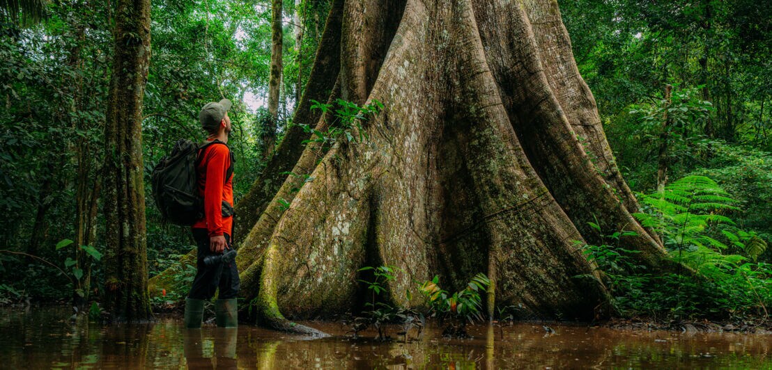 Dennis Schmelz steht mit seiner Kameraausrüstung in einem tropischen Sumpf
