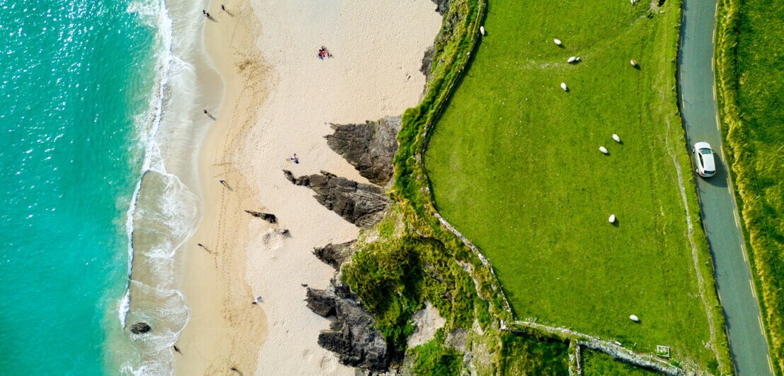 Luftaufnahme einer Küstenlandschaft mit Sandstrand und grünem Gras. Am Strand sind einige Personen sichtbar, während auf der Wiese Schafe grasen. Ein Auto steht auf der Straße.