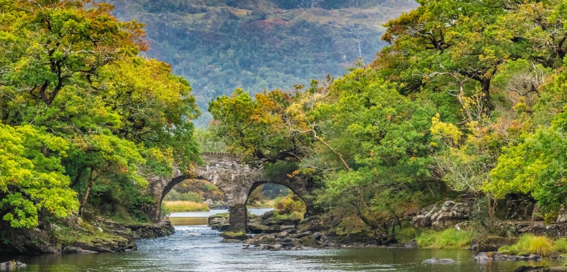 Blick auf die historische Old Weir Bridge südlich des Muckross Lake im Killarey-Nationalpark.