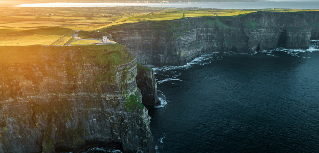 Die Klippen von Moher in County Clare, steile Felsen, die ins Meer ragen, mit grünem Gras und Wiesen im Hintergrund, bei Sonnenuntergang.