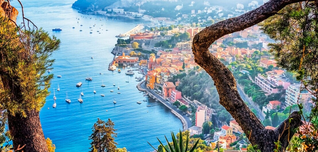 Blick auf eine Küstenstadt mit bunten Gebäuden, Booten im Wasser und grünen Bäumen im Vordergrund. Die Stadt liegt am Ufer eines blauen Meeres.