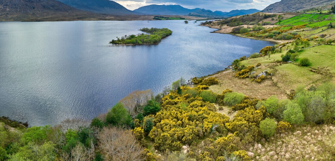 Panorama einer Landschaft mit einem ruhigen See, umgeben von Hügeln, Bäumen und grünen Feldern. Im Hintergrund sind Berge sichtbar.