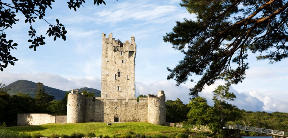 Eine mittelalterliche Burg mit hohen Türmen und dicken Mauern, umgeben von Bäumen und Wasser. Im Hintergrund sind sanfte Hügel sichtbar.