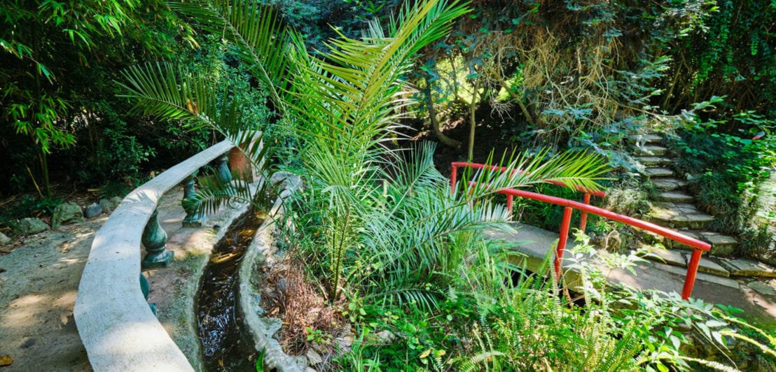 Brücke im chinesischen Stil im asiatischen Teil des Jardim Botânico Tropical in Lissabon.