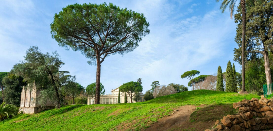 Grüne Wiese mit Treppe und Steinmauer im Villa Torlonia Park in Rom, umgeben von hohen Pinien und Zypressen unter blauem Himmel.