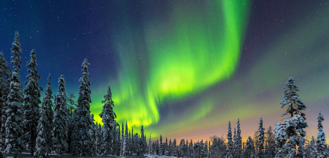 Grüne Nordlichter am Nachthimmel über schneebedecktem Wald und Straße in Finnland.
