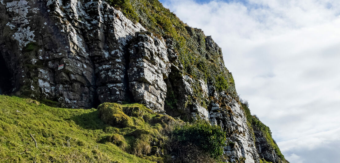 Ein Hügel aus weißem und grauem Stein ist bewachsen mit Gras und kleinen, flachen Sträuchern.