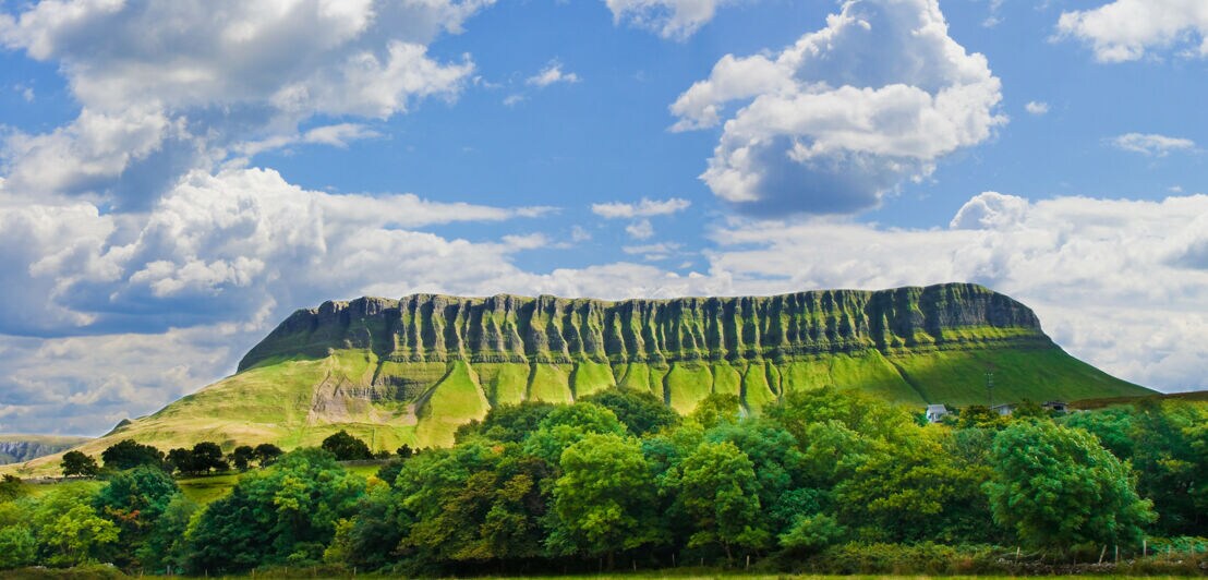 Auf einer grünen Wiese mit Bäumen ragt ein großer, rechteckiger Berg empor, der teilweise mit Gras bewachsen ist.