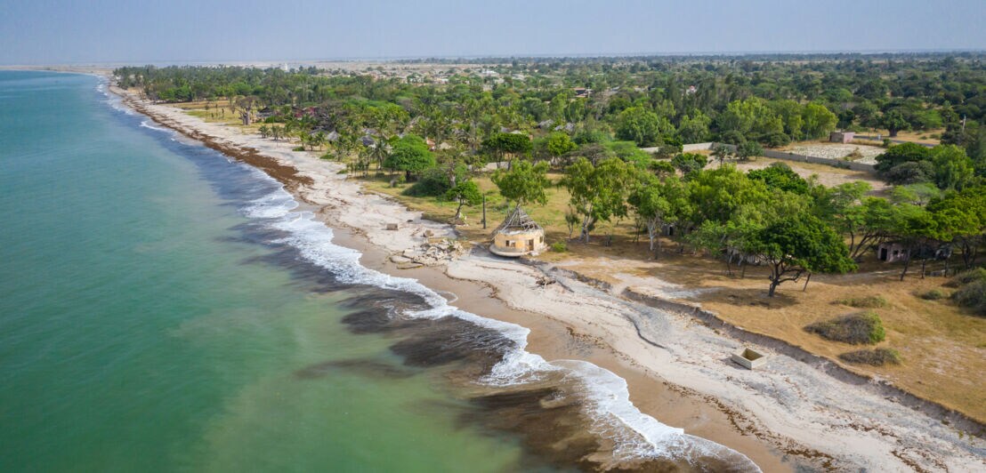 Küste mit flachem Sandstrand und Mangrovenwald.