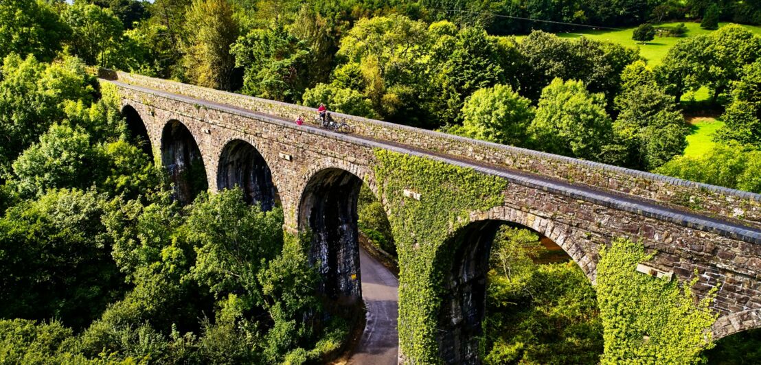 Blick von oben auf ein Viadukt inmitten einer grünen Landschaft.
