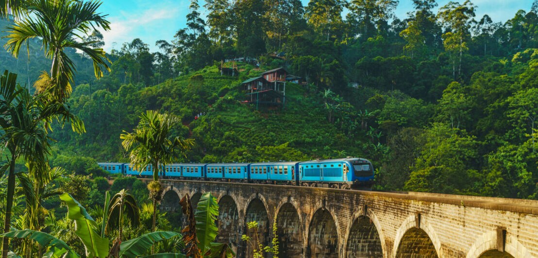 Ein blauer Zug fährt über eine hohe Steinbrücke in einer grünen, hügeligen Landschaft mit Bäumen und Pflanzen.