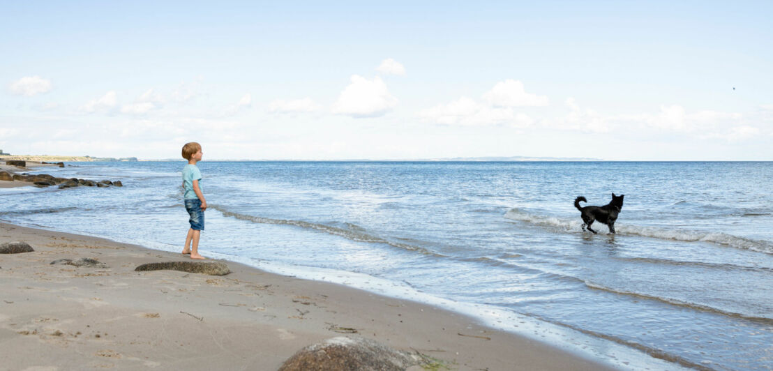 Ein Junge steht an einem Sandstrand am Meer, im Wasser läuft ein schwarzer Hund.