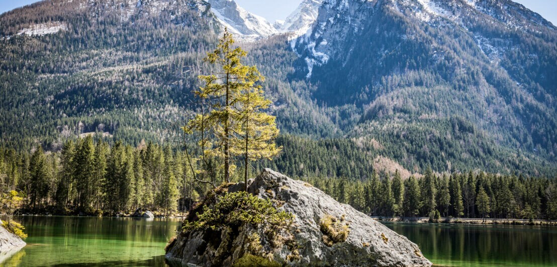 leiner Felsen mit zwei Nadelbäumen in einem klaren Bergsee, umgeben von bewaldeten Bergen und schneebedeckten Gipfeln.
