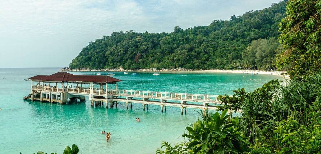Holzsteg mit überdachtem Bereich ragt in türkisfarbenes Meer an einem tropischen Strand mit dichtem Dschungel im Hintergrund.