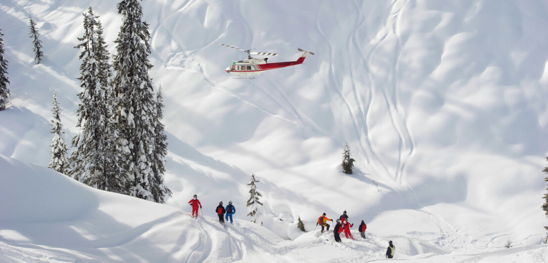 Ein Helikopter fliegt über eine Personengruppe auf Skiern im Tiefschnee an einem Berghang.