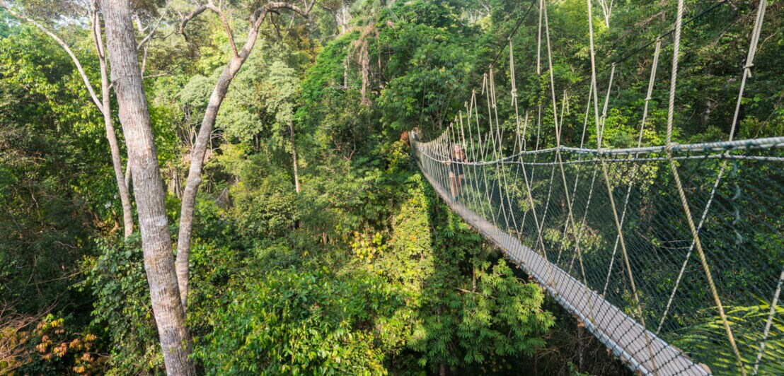 Hängende Seilbrücke über dichten, grünen Regenwald im Taman Negara Nationalpark, mit zwei Personen auf der Brücke.