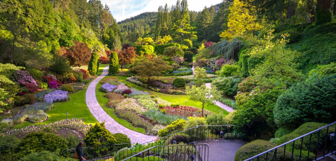 Der grüne und mehrstufig angelegte versunkene Garten der Butchart Gardens.