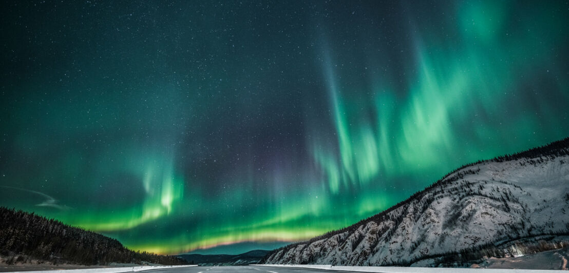 Gelb-grün schimmernde Polarlichter über einer asphaltierten Straße im Yukon.