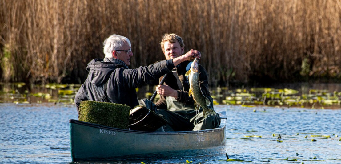 Zwei Personen in einem Kanu auf einem See, eine hält einen großen Fisch hoch, Schilf im Hintergrund.