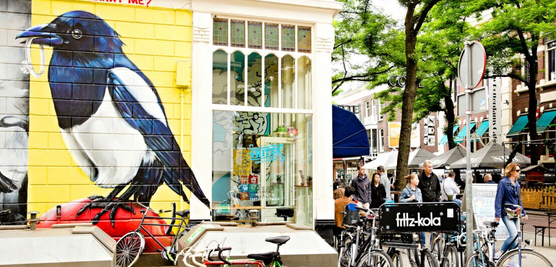 Große Wandmalerei eines schwarz-weißen Vogels mit blauem Gefieder auf gelbem Hintergrund, darüber roter Text 'SAM WILL YOU MARRY ME?'. Vor dem Gebäude mehrere Fahrräder und ein schwarzer Fahrradanhänger mit weißer Aufschrift 'fritz-kola'.