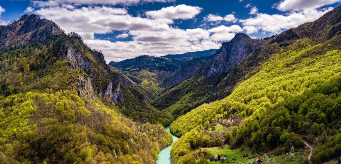 Blick von oben auf eine Schlucht, die von Bergen und Bäumen umgeben ist.