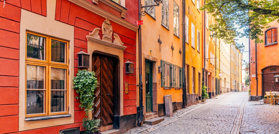 Bunte Häuser an einer Gasse mit Kopfsteinpflaster.