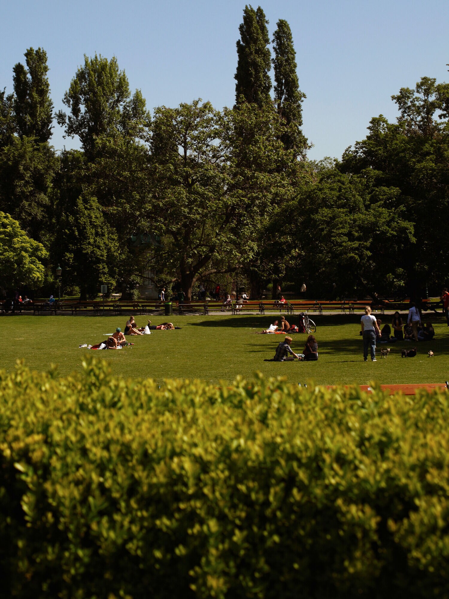 Der Wiener Stadtpark im Sonnenschein mit ein paar Menschen auf einer Wiese