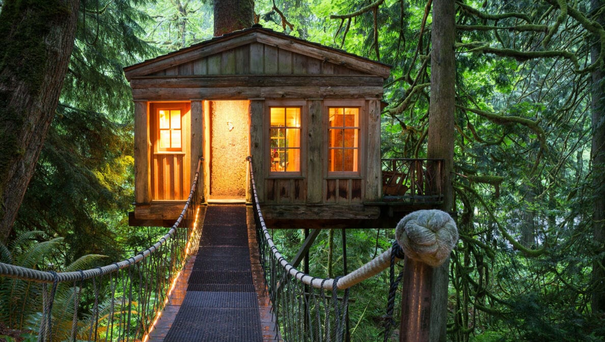 Ein beleuchtetes Baumhaus mit Hängebrücke im Wald