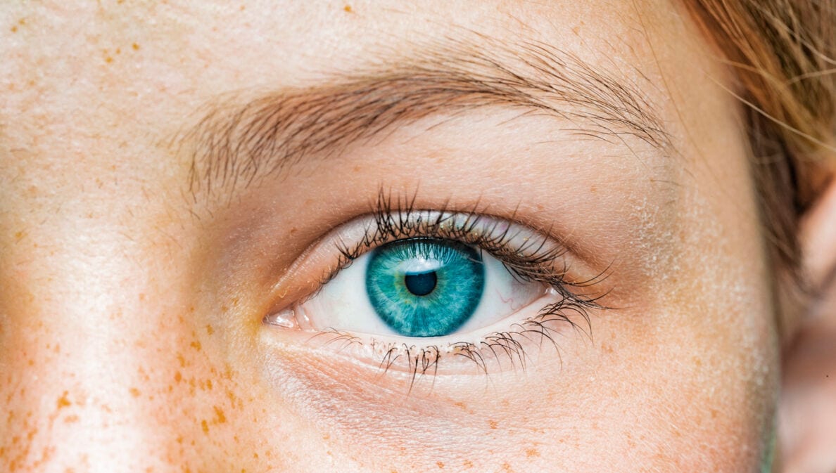 Nahaufnahme eines blauen Augens einer Frau mit Sommersprossen